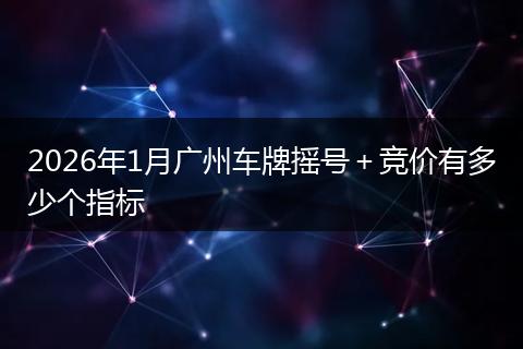 2026年1月广州车牌摇号＋竞价有多少个指标