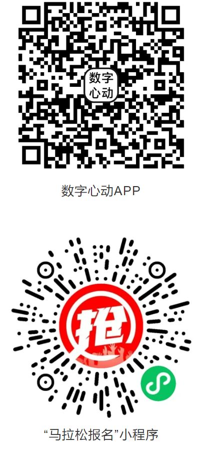 2026温州龙湾半马中签资料上传及缴费时间+入口