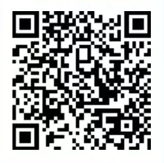 2026东莞石龙旗云广场迎春花市活动攻略（时间+地点+亮点）