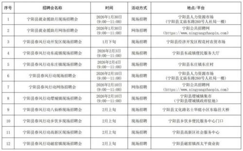 2026泰安市春节前招聘会计划
