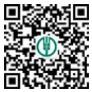 湖南中国农业银行2026马年贺岁纪念币官网入口https___coin.abchina.com.cn