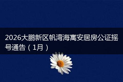 2026大鹏新区帆湾海寓安居房公证摇号通告（1月）