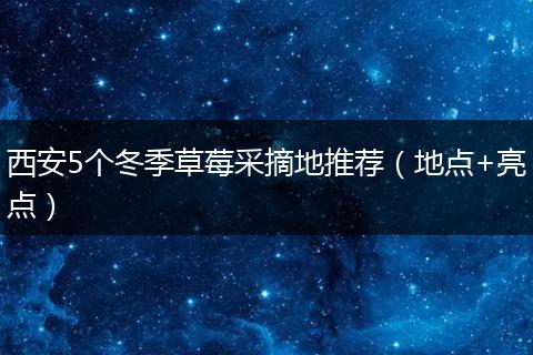 西安5个冬季草莓采摘地推荐（地点+亮点）