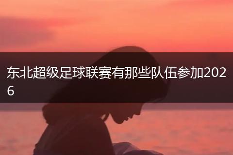 东北超级足球联赛有那些队伍参加2026