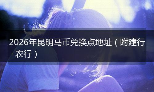 2026年昆明马币兑换点地址（附建行+农行）