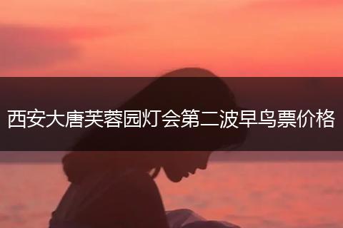 西安大唐芙蓉园灯会第二波早鸟票价格