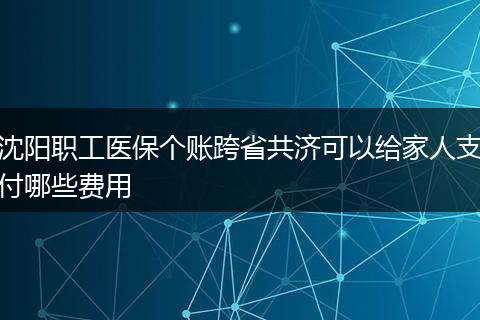沈阳职工医保个账跨省共济可以给家人支付哪些费用
