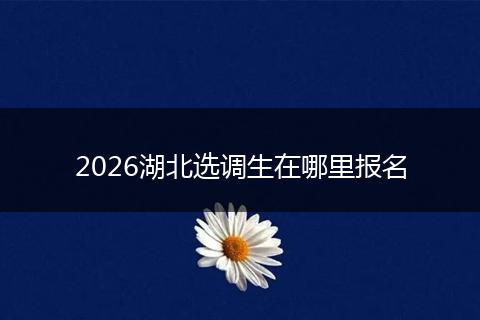 2026湖北选调生在哪里报名