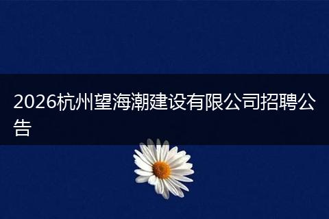 2026杭州望海潮建设有限公司招聘公告