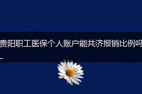 贵阳职工医保个人账户能共济报销比例吗_