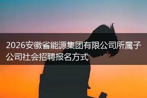 2026安徽省能源集团有限公司所属子公司社会招聘报名方式