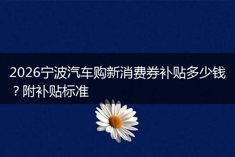 2026宁波汽车购新消费券补贴多少钱？附补贴标准