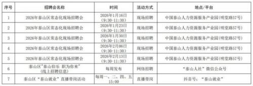 2026泰安市春节前招聘会计划