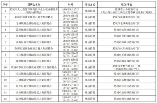 2026泰安市春节前招聘会计划