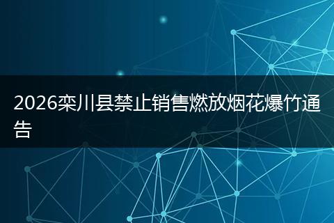 2026栾川县禁止销售燃放烟花爆竹通告