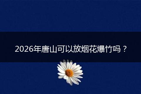 2026年唐山可以放烟花爆竹吗？