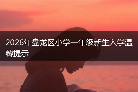 2026年盘龙区小学一年级新生入学温馨提示