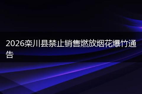 2026栾川县禁止销售燃放烟花爆竹通告