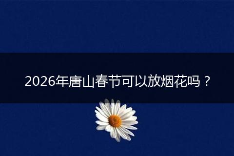 2026年唐山春节可以放烟花吗？