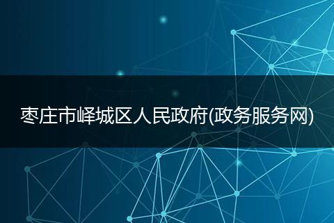 枣庄市峄城区人民政府(政务服务网)