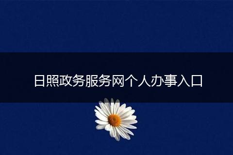 日照政务服务网个人办事入口
