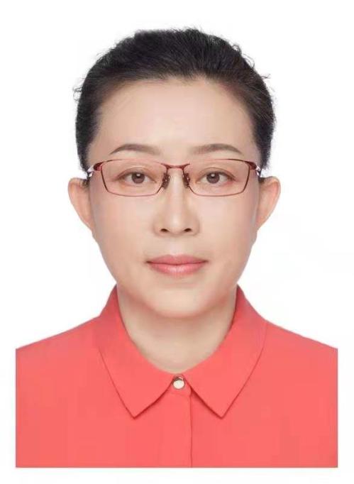 北京市朝阳统计局(网上办事大厅)